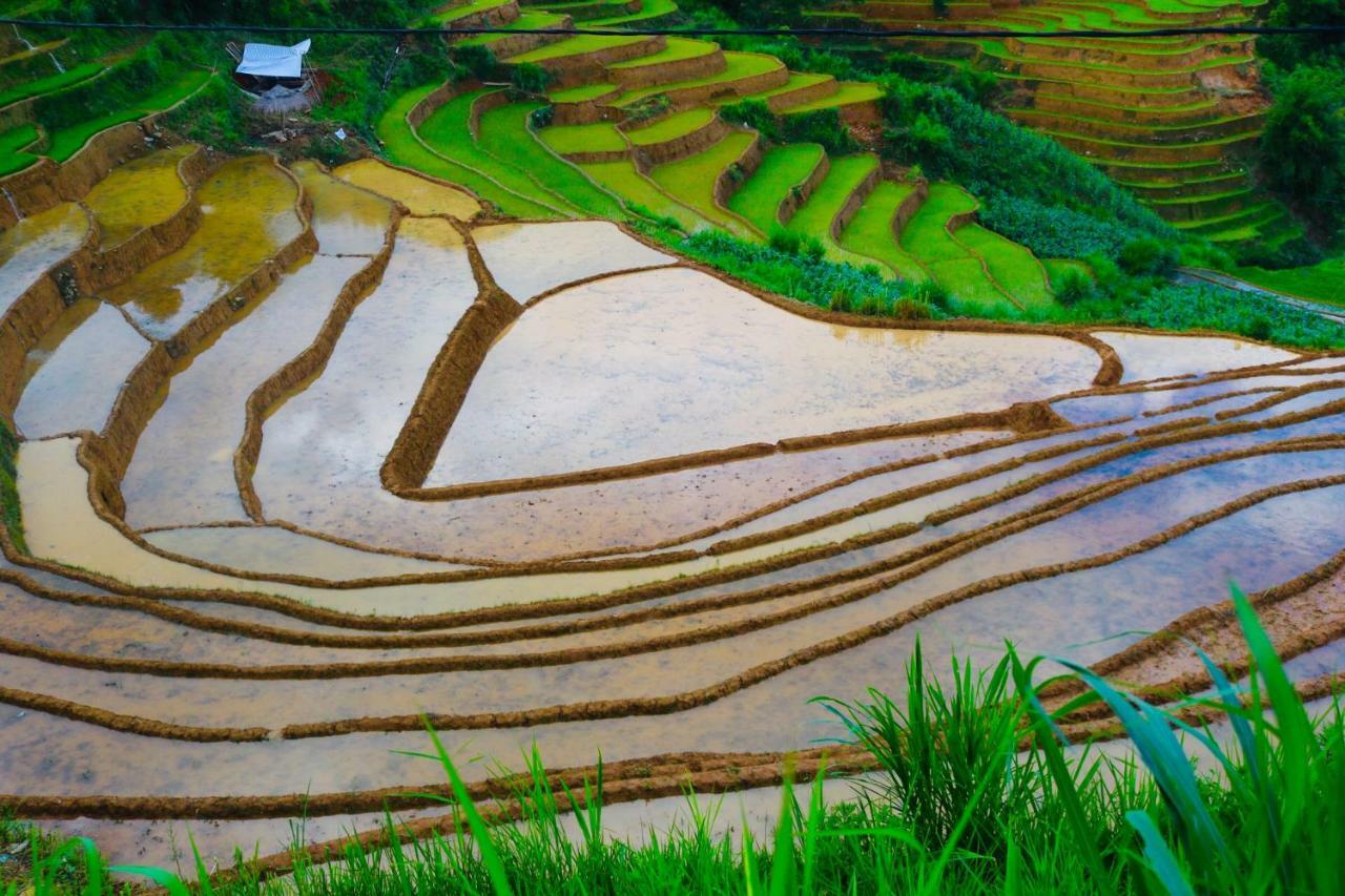 度古民宿 Mu Cang Chai 外观 照片